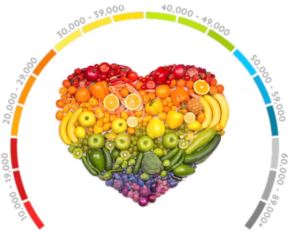the measured improvement in antioxidant levels with intake of proven nutraceuticals