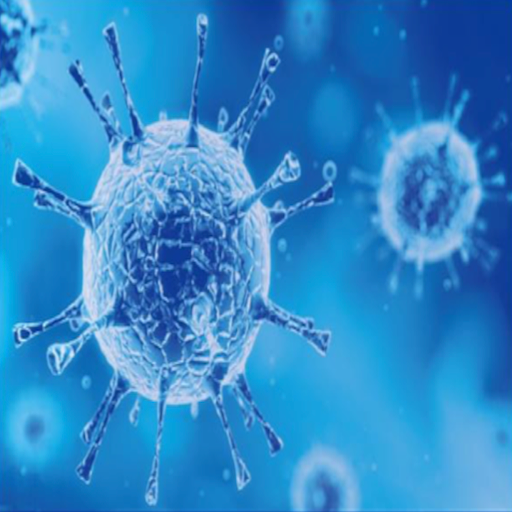 PCR molecular diagnostics identifying viral pathogens